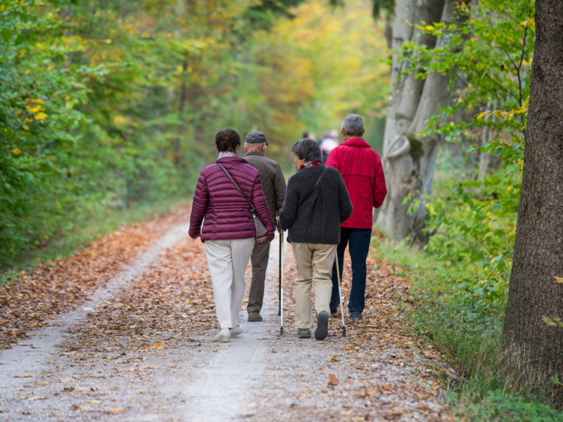 Senioren wandern zusammen im Wald bei schönem Wetter