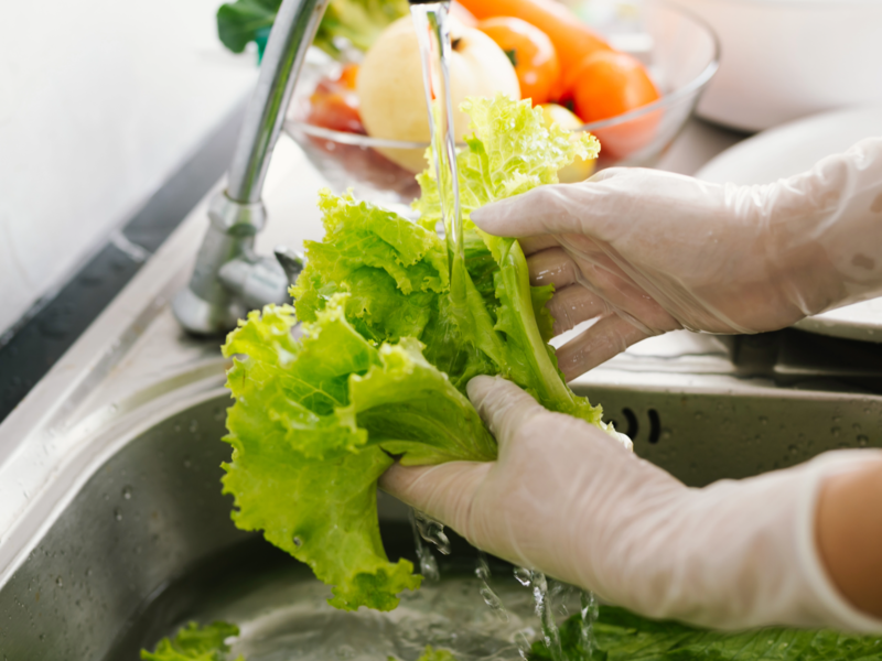 Eine Person trägt weiße hygienische Handschuhe und wäscht unter fließendem Wasser ein grünes Salatblatt